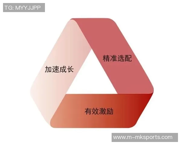 深圳篮球队团队协作的成功之道与战术配合分析