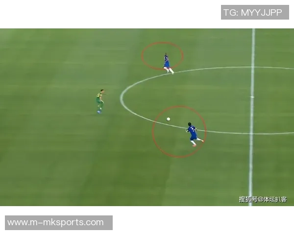 运动数据南京羽毛球队与武汉羽毛球队赛后复盘力量对比分析与战术总结