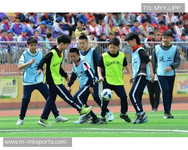 今年运动数据赵秀英专访从绿茵场到人生舞台的足球旅程回顾与展望 今年运动数据赵秀英专访从绿茵场到人生舞台的足球旅程回顾与展望